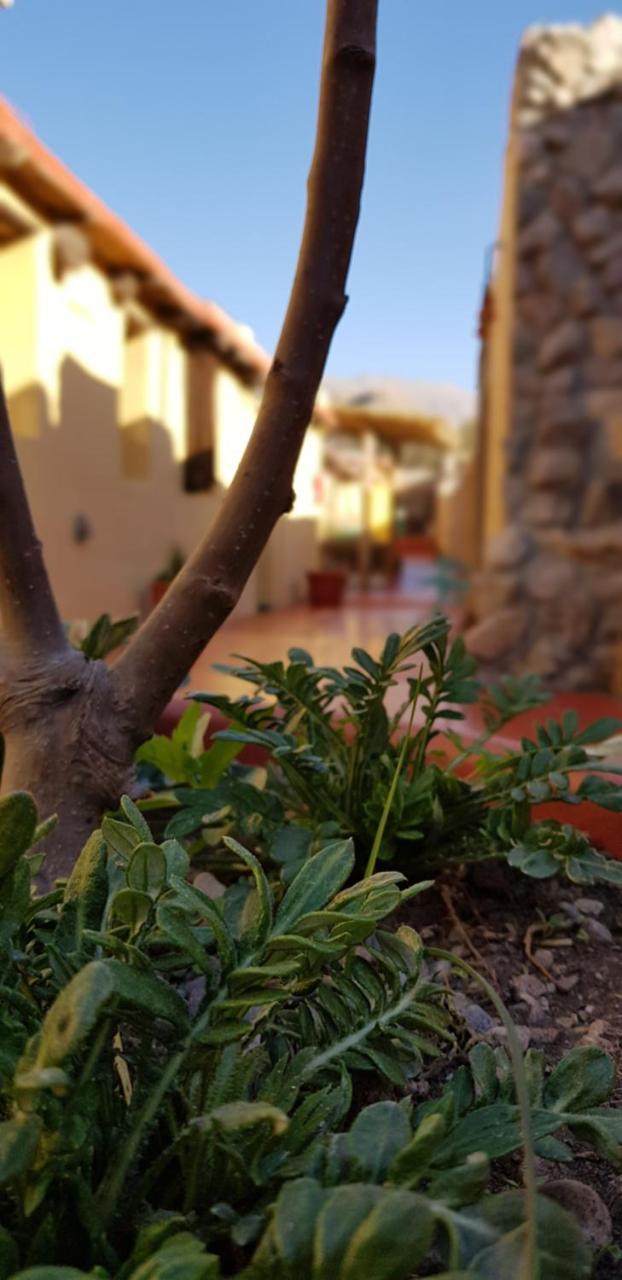 Hostal Asqui Pacha Tilcara Kültér fotó